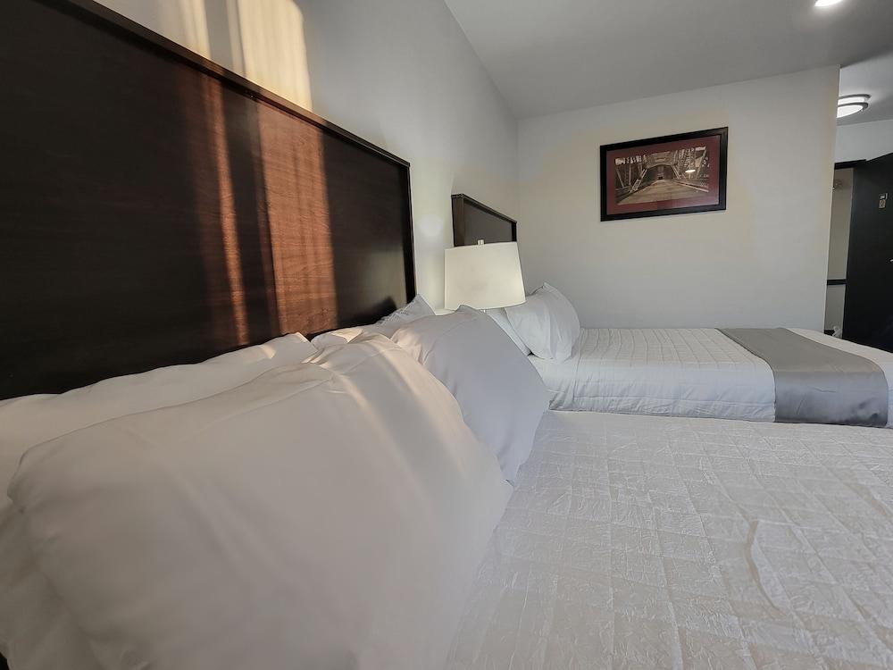 The Suite Inn photo 3
