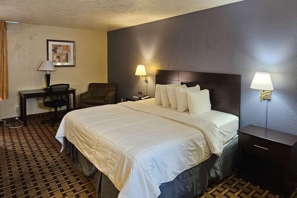 Quality Inn Fort Myers Cape Coral photo 5