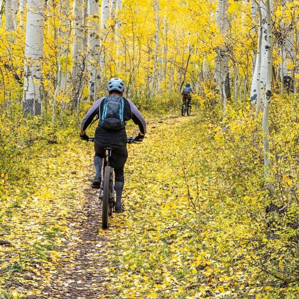 Shadow Ridge by All Seasons Resort Lodging photo 12