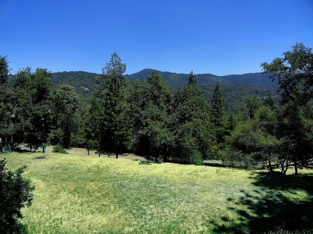 Evergreen Haus photo 51
