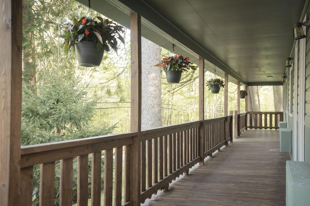 Forest Hill Lodge & Cabins photo 34