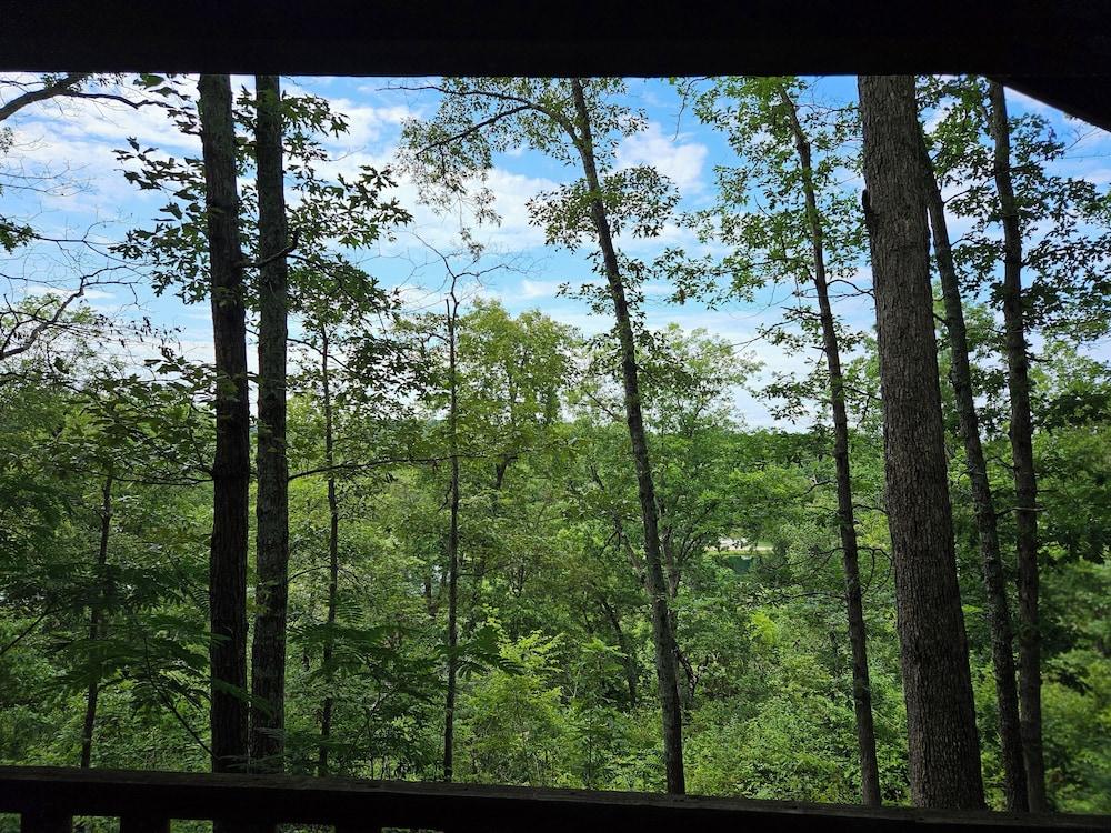 Riverview Cabins photo 16