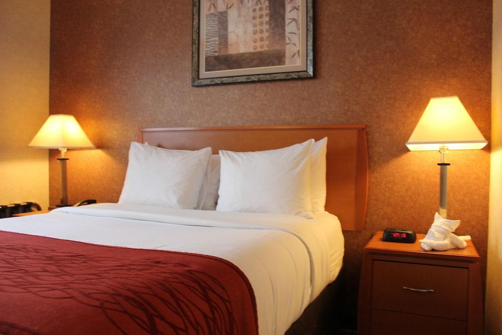 Bellerose Inn photo 8