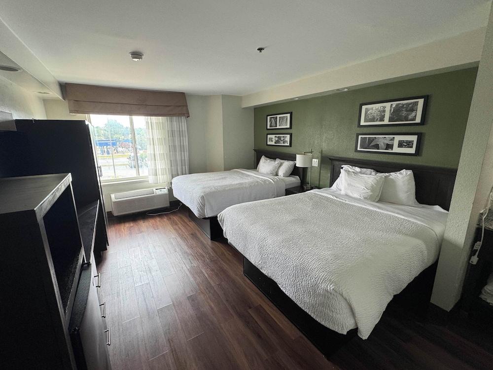 Broad St Inn photo 3