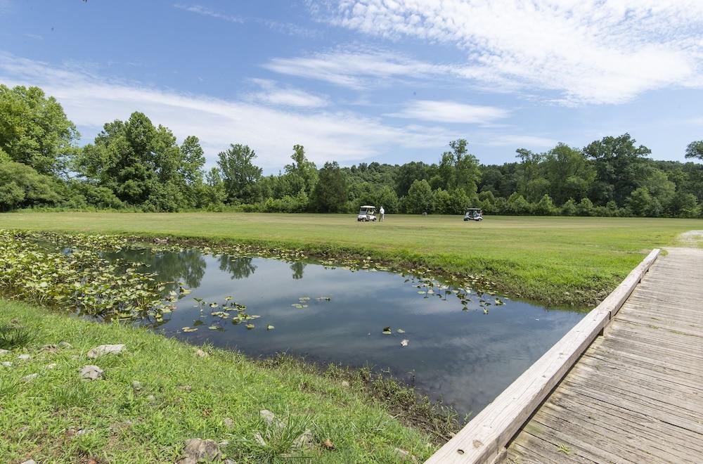 Pennyrile Forest State Resort Park photo 25