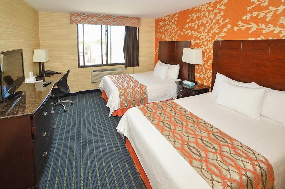 Corona Hotel photo 8