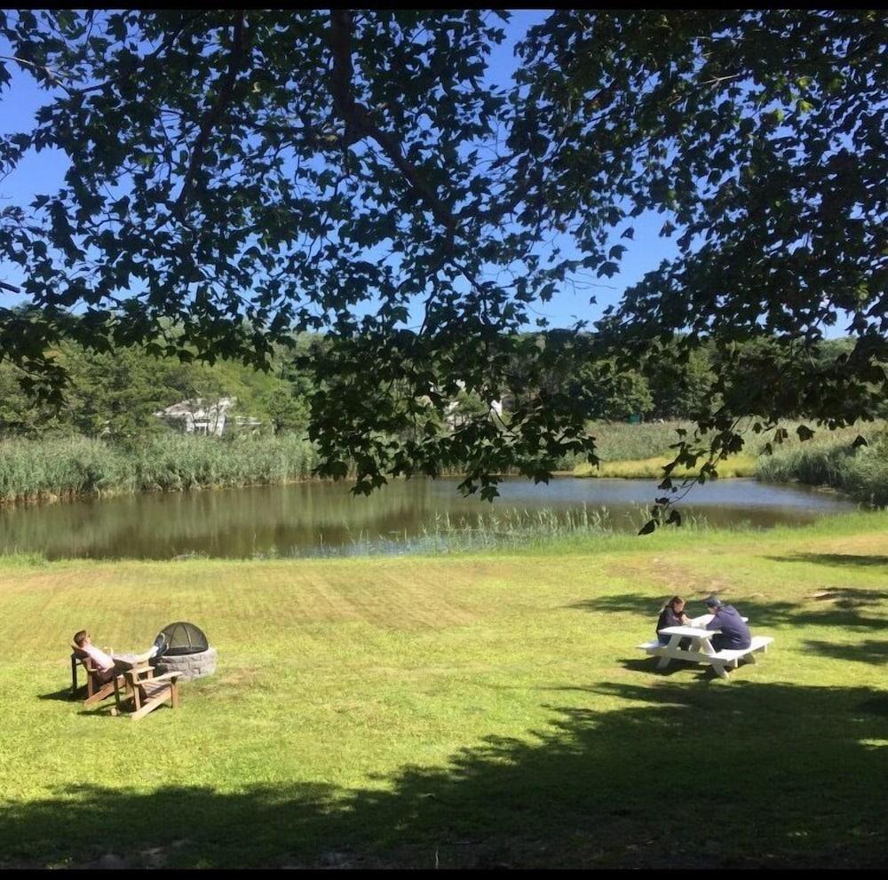 Copper Swan photo 88