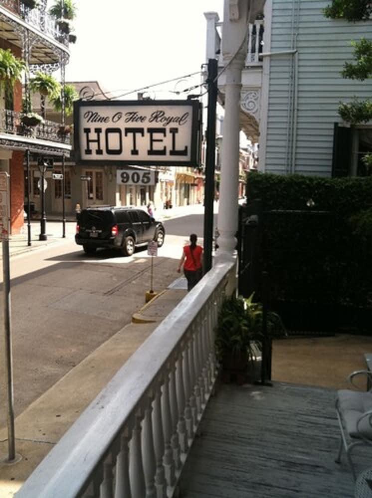 Nine O Five Royal Hotel photo 6