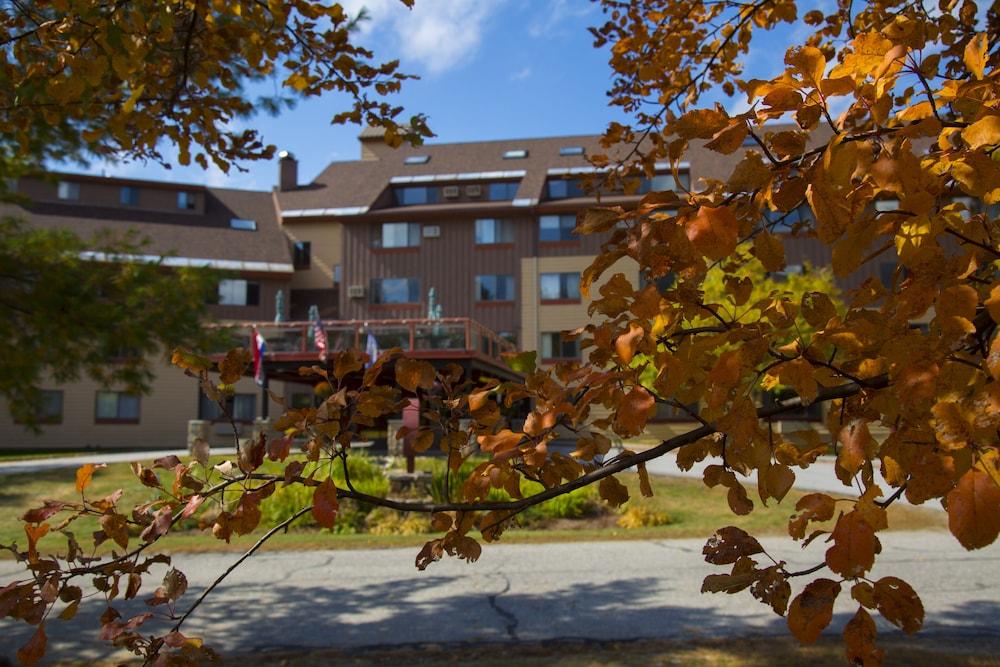 Black Bear Lodge photo 36