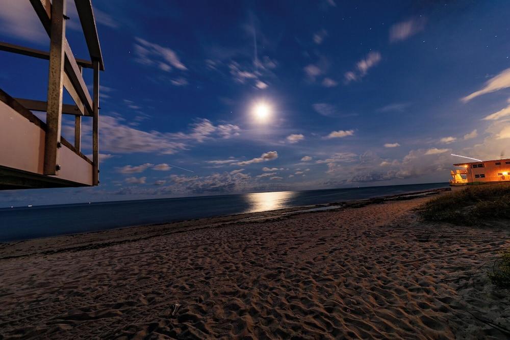 Palm By The Sea photo 16