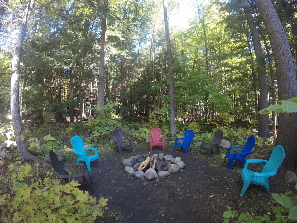 Forest Hill Lodge & Cabins photo 26