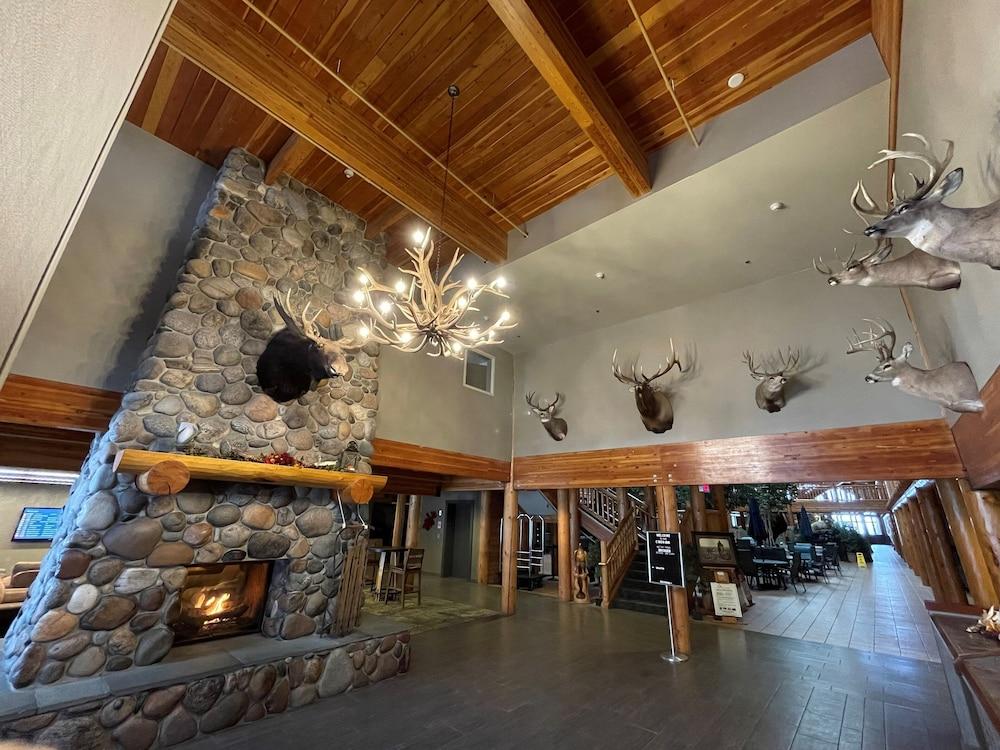 C'mon Inn Bozeman photo 20