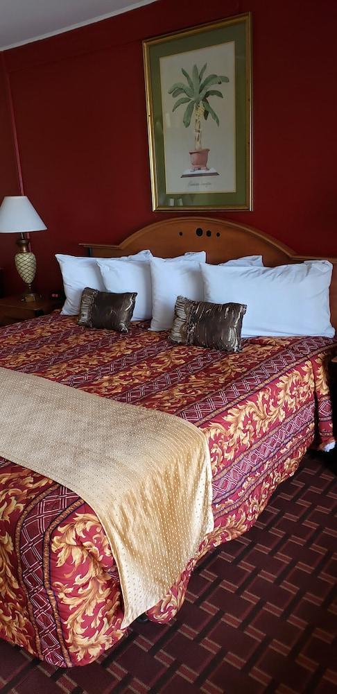 Palms Inn photo 5