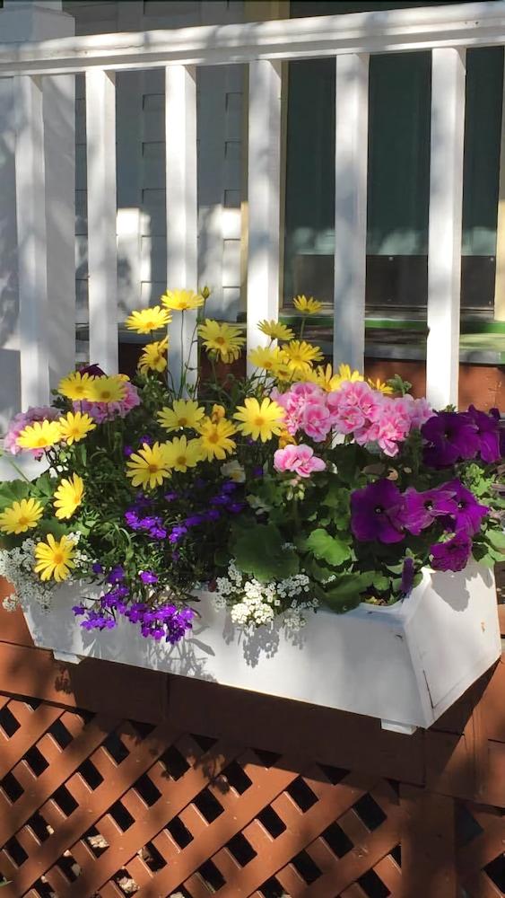 Mount Battie Inn photo 49