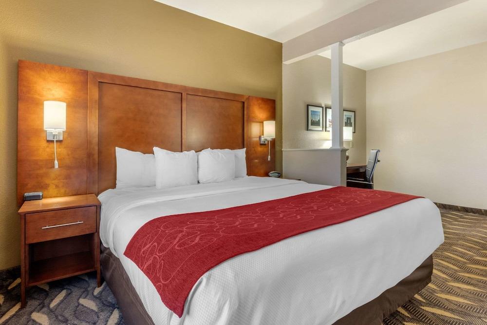 Comfort Suites Rolla photo 13