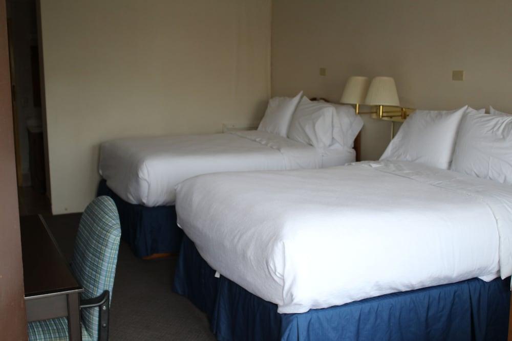 Grapevine Inn photo 11