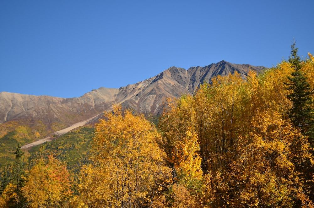 McCarthy Lodge Resort photo 44