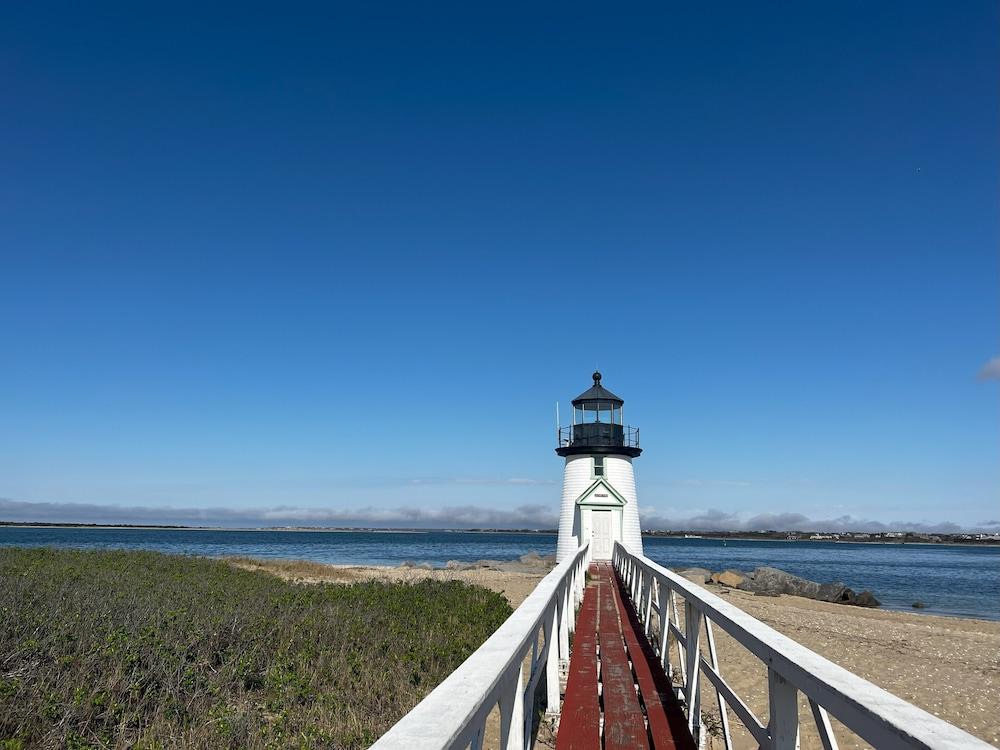 The Brant photo 21