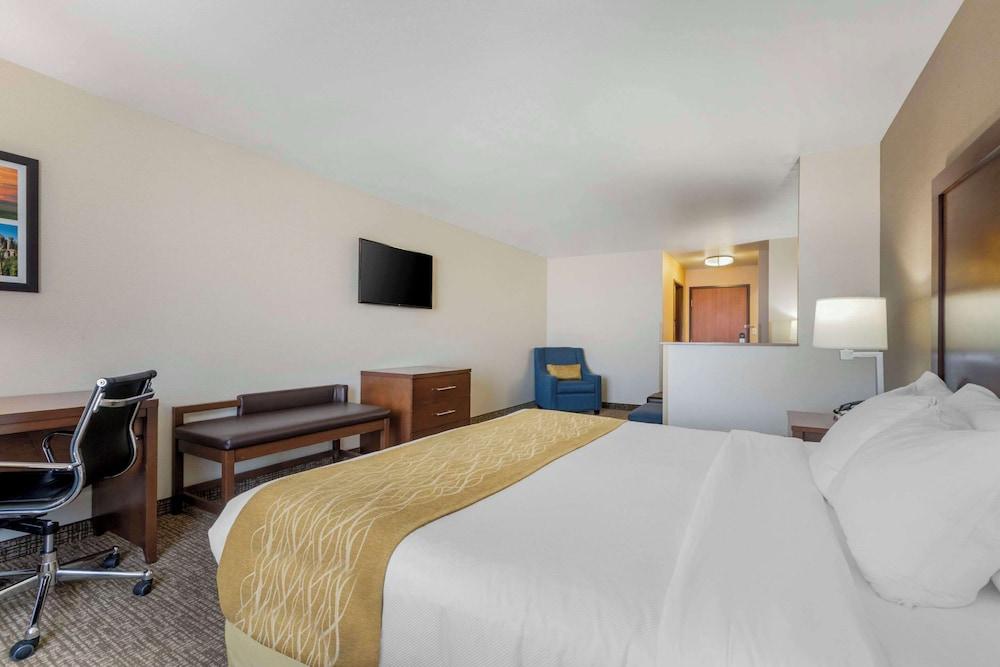 Comfort Inn & Suites Mitchell I-90 photo 21