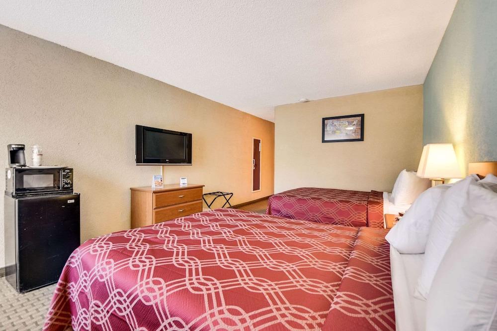 Econo Lodge Tampa near Busch Gardens photo 49
