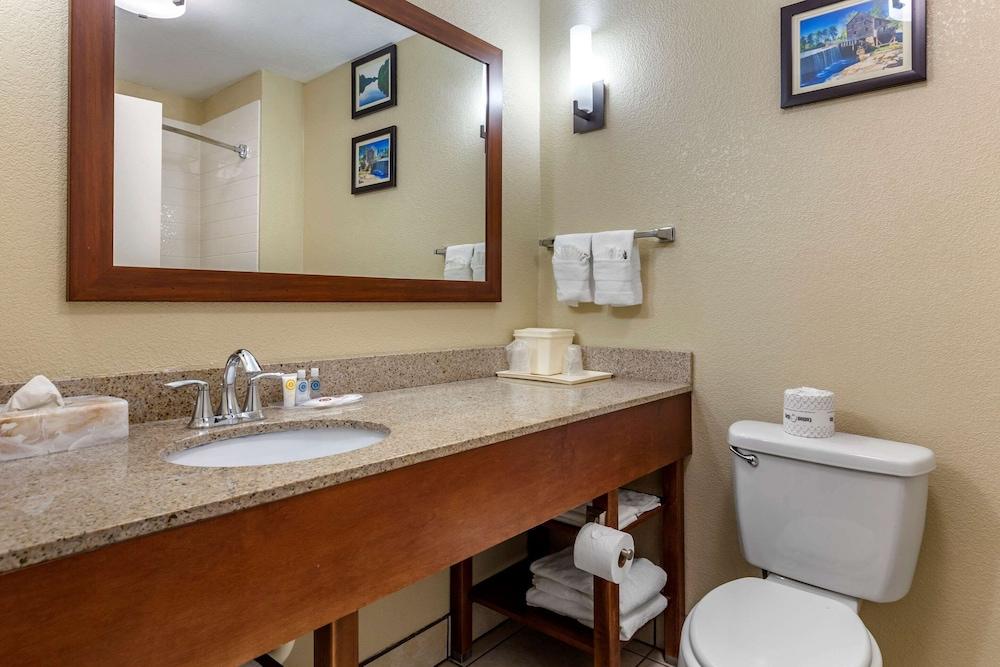 Comfort Suites Clayton - Garner photo 22