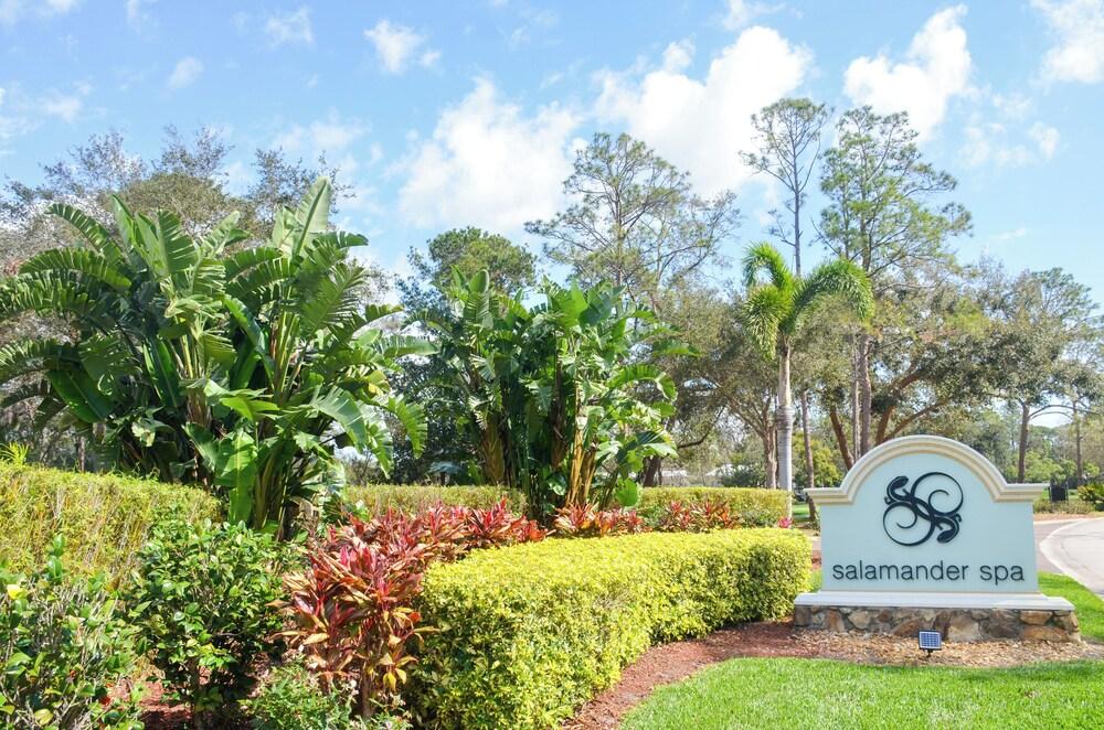 Innisbrook Resort photo 96