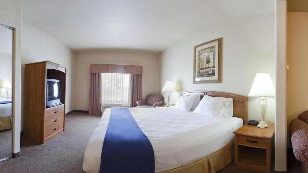 Holiday Inn Express Hotel & Suites Mission-McAllen Area by IHG photo 3