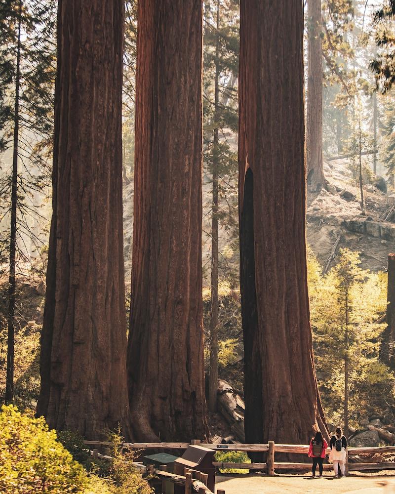 John Muir Lodge photo 57