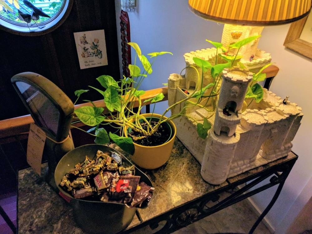 Ann Arbor B&B Inn photo 28