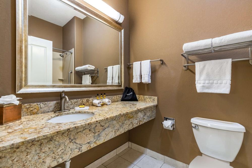 Best Western Plus Lytle Inn & Suites photo 28