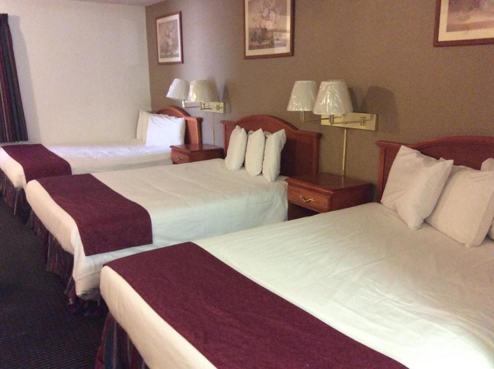 Sagamar Inn photo 46