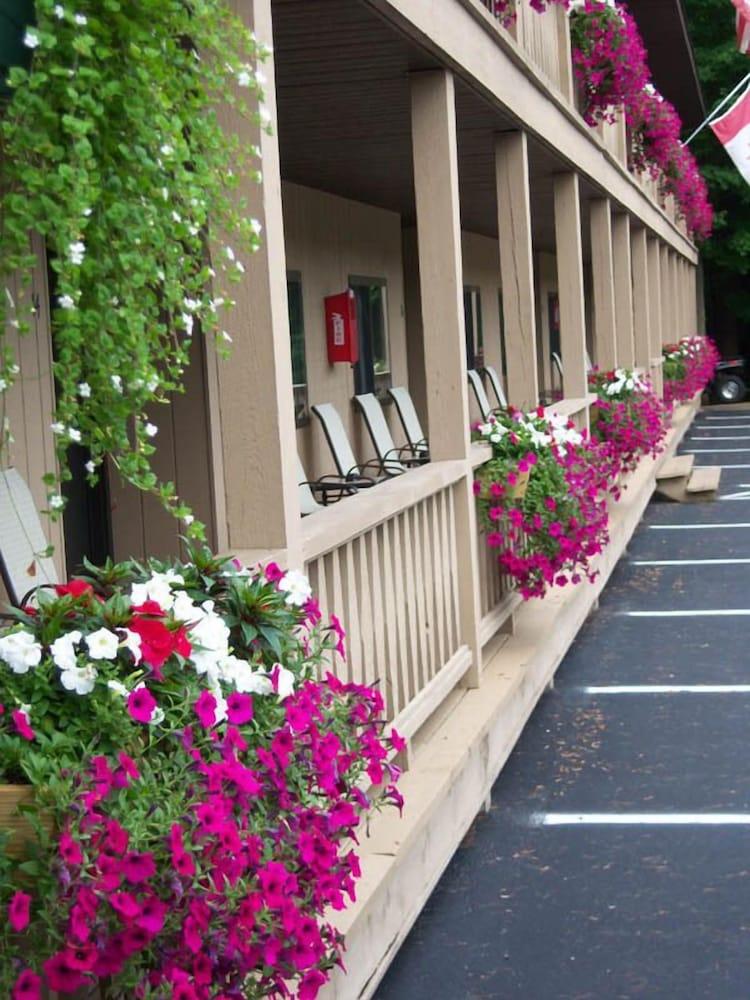 Tall Pines Motel photo 46