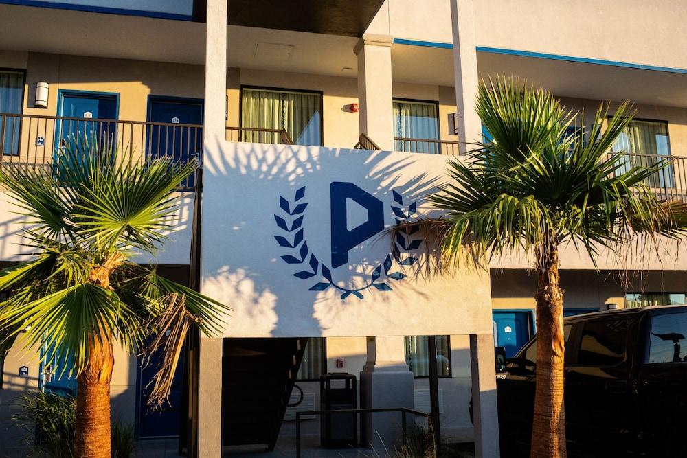 Palace Inn photo 38