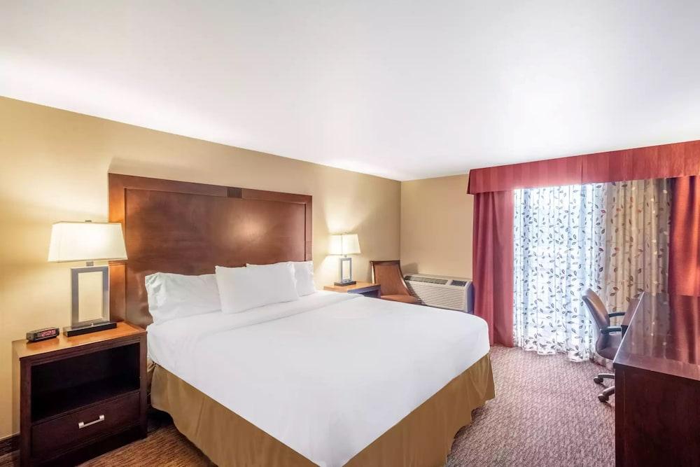 Holiday Inn Frisco by IHG photo 4