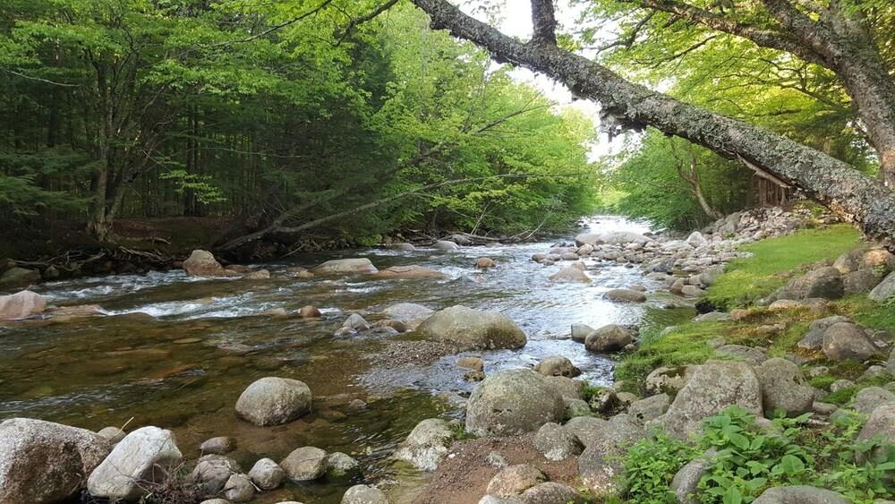Franconia Notch Motel photo 30