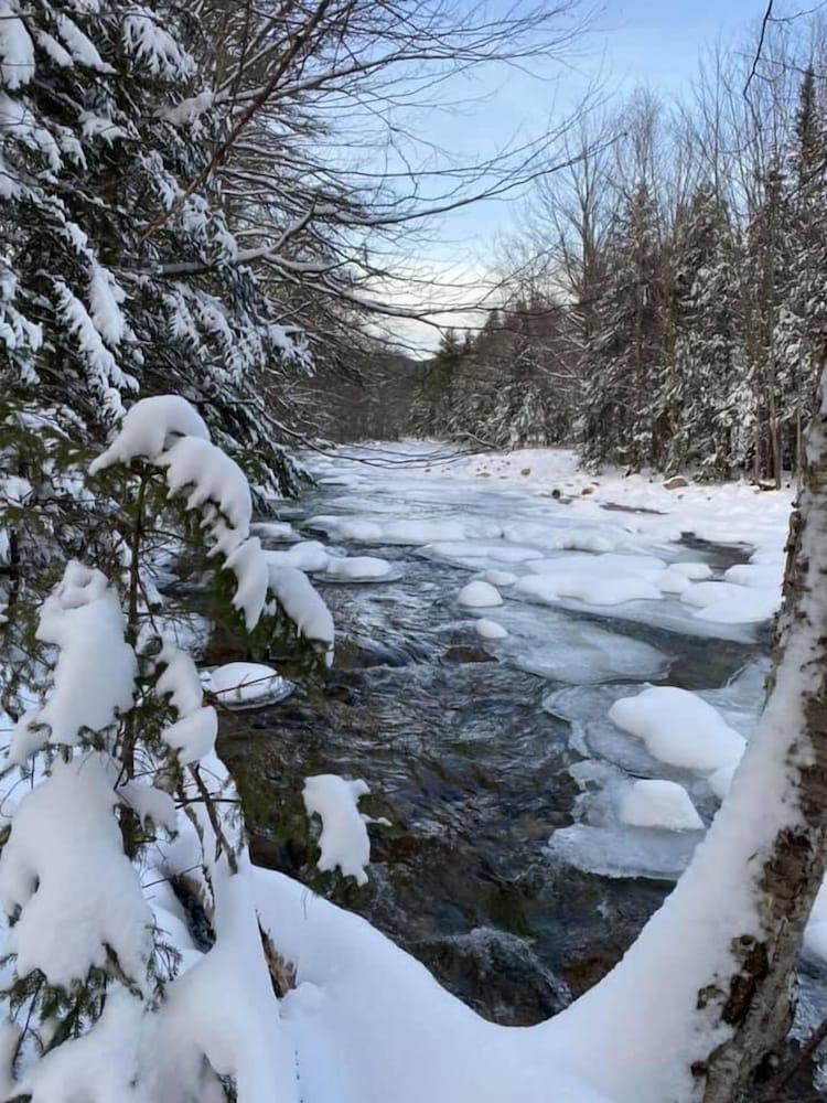 Black Bear Lodge photo 42