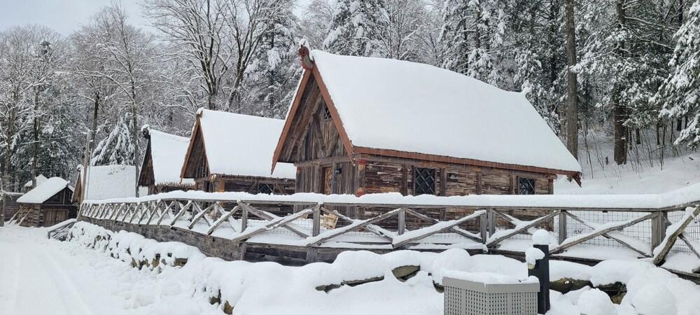 Vikings Villages Resort photo 52