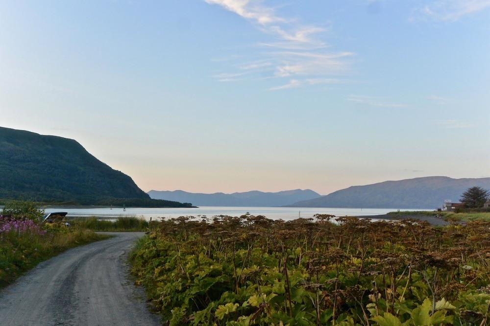Driftwood Wilderness Lodge photo 14