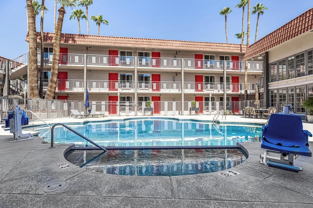 Tempe Oasis photo 8