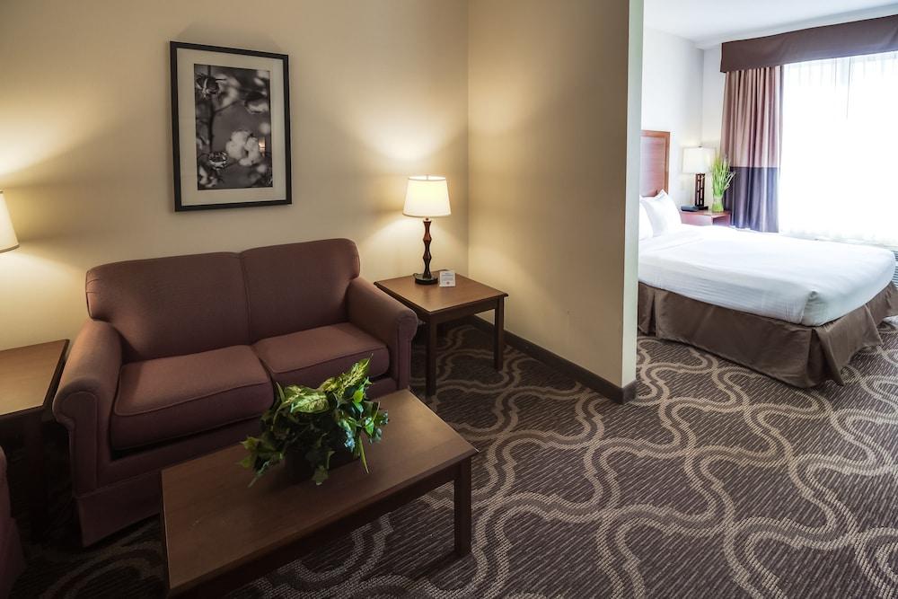 Ashmore Inn and Suites photo 7