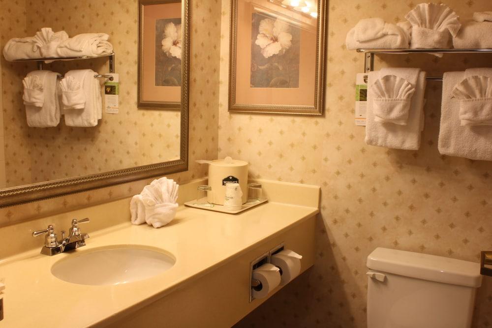 Wingate by Wyndham Duluth/Atlanta photo 20