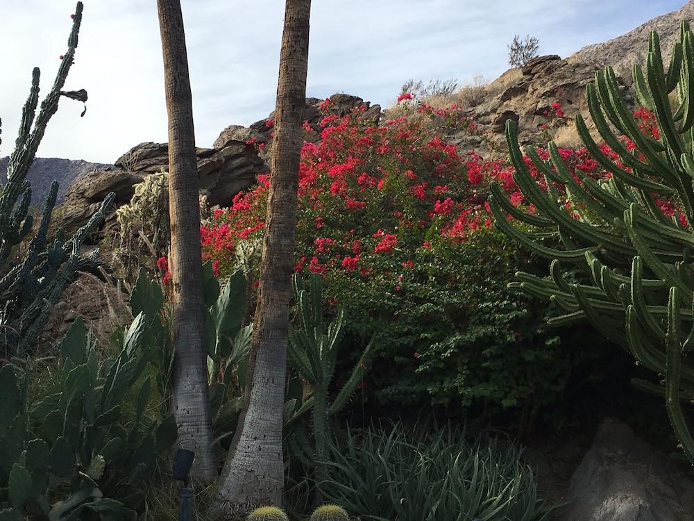 GetAways at Palm Springs Tennis Club photo 23
