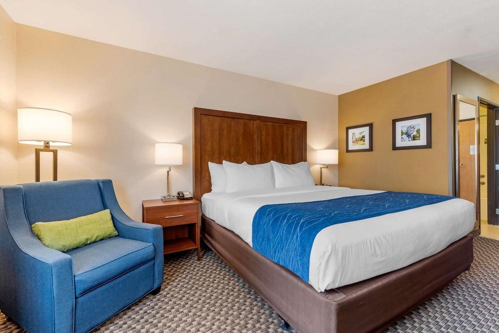 Comfort Inn & Suites near Route 66 photo 8