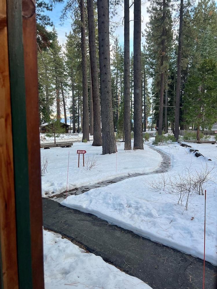 The Cottage Inn photo 15