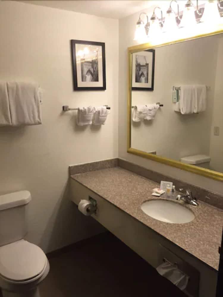 Comfort Inn & Suites Texas Hill Country photo 22