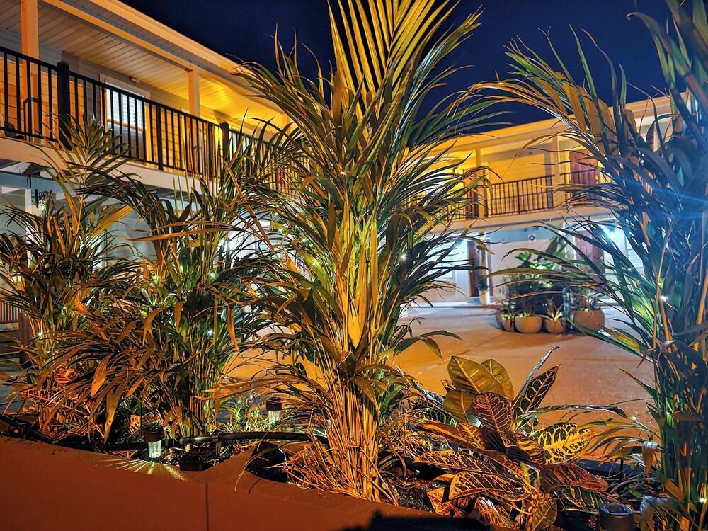 Beach 5 Villas - Immaculate 300 steps from the Ocean photo 38