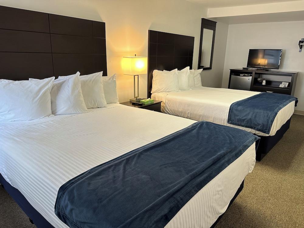 The Wellington Hotel & Suites Oceanblock photo 6