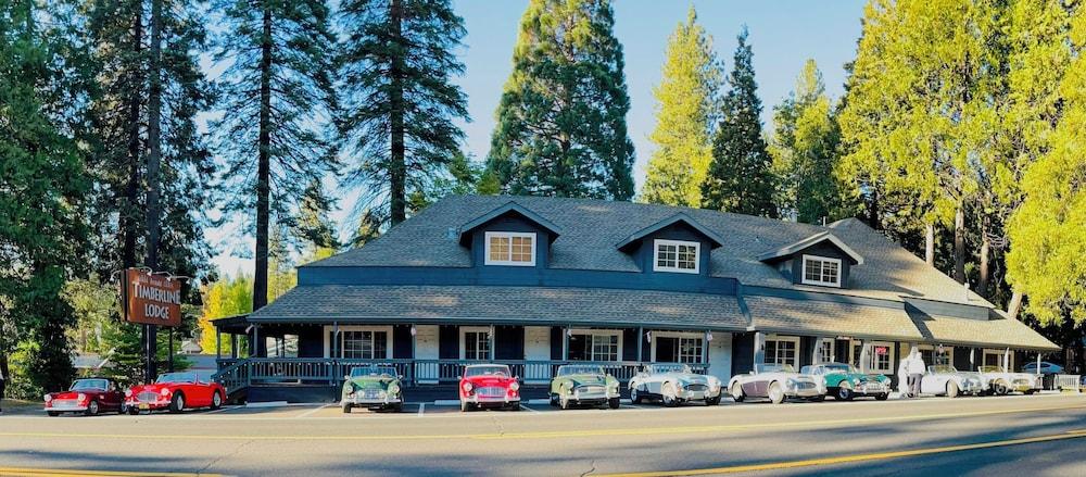 Timberline Lodge - Arnold - Bear Valley photo 3