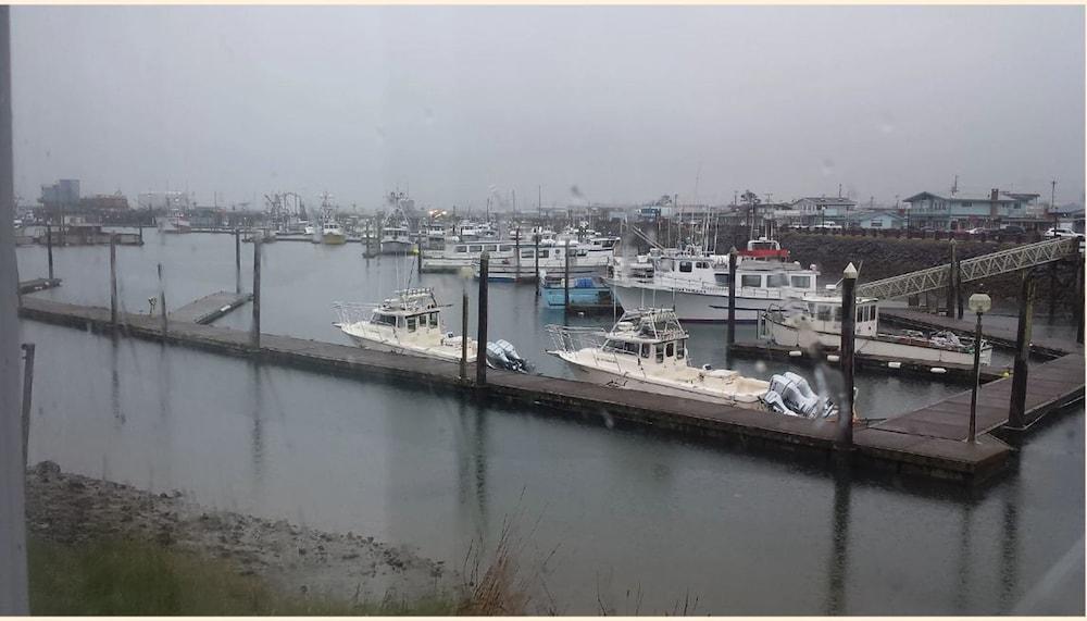 Islander Westport photo 51