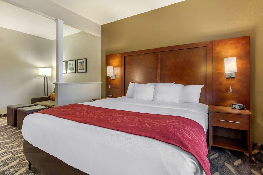 Comfort Suites Rolla photo 29